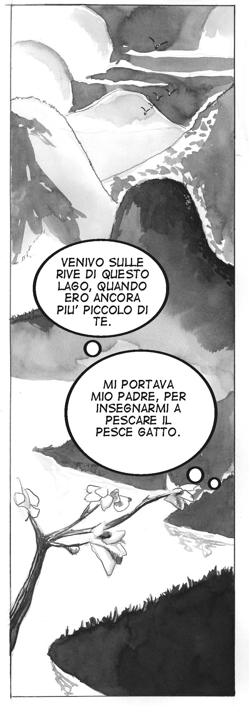 isola pesci1