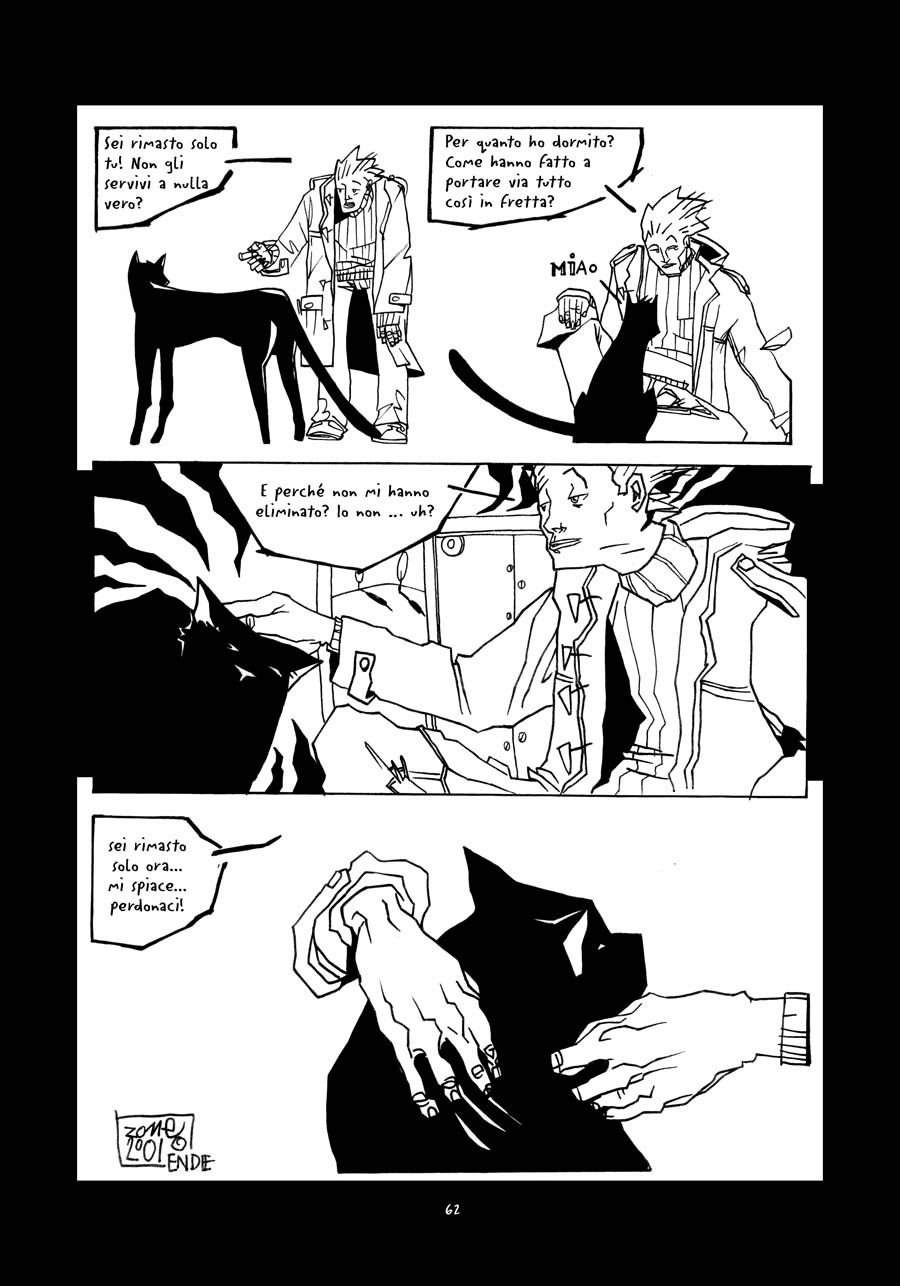 gatto pag62