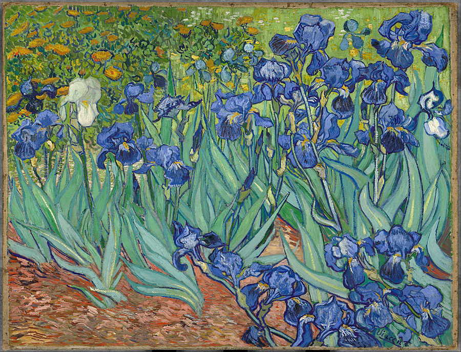 Vincent van Gogh fiori
