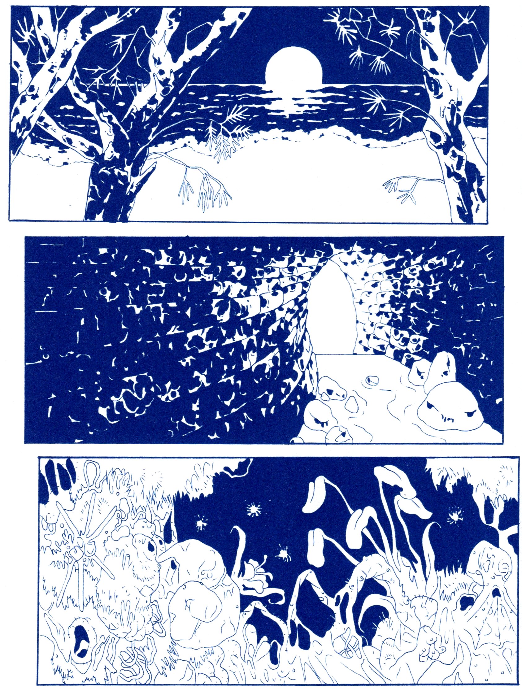 il sogno della cicala 002