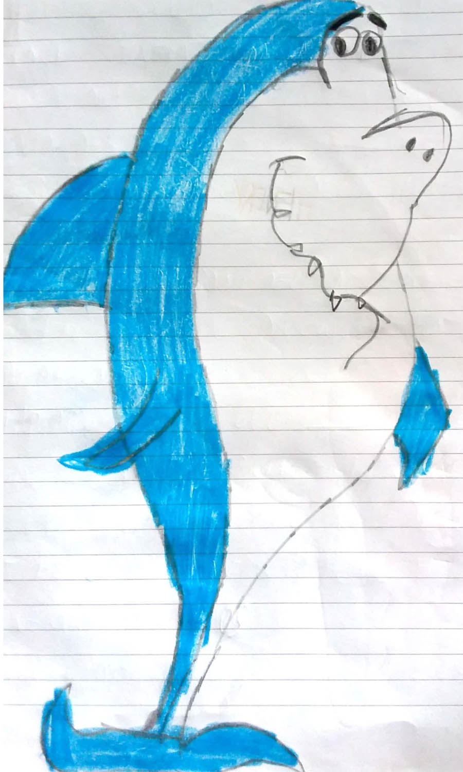 edoardo warner1