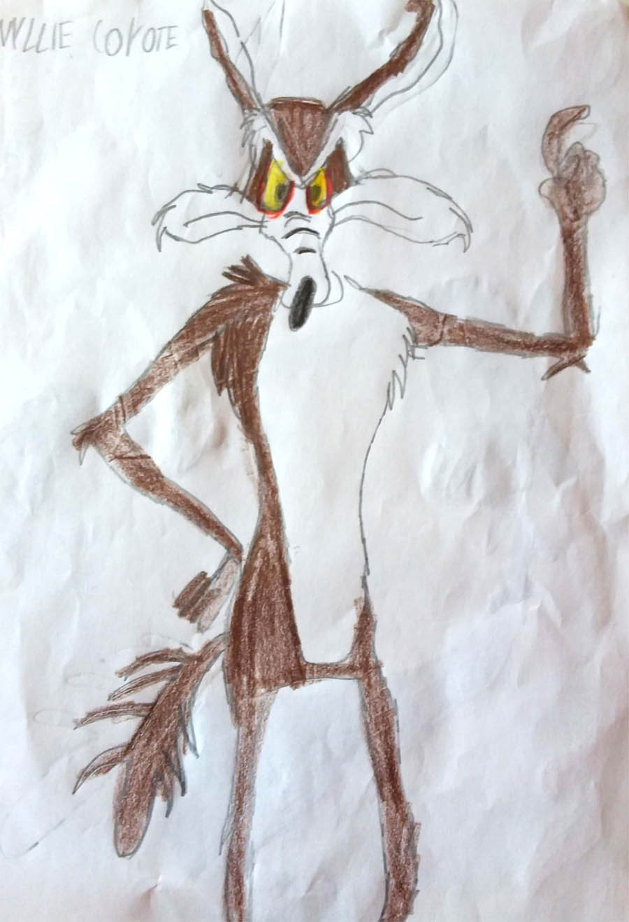 edoardo warner1