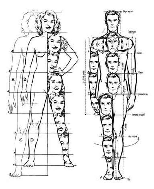corpo2