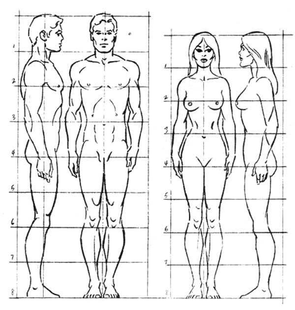 corpo2