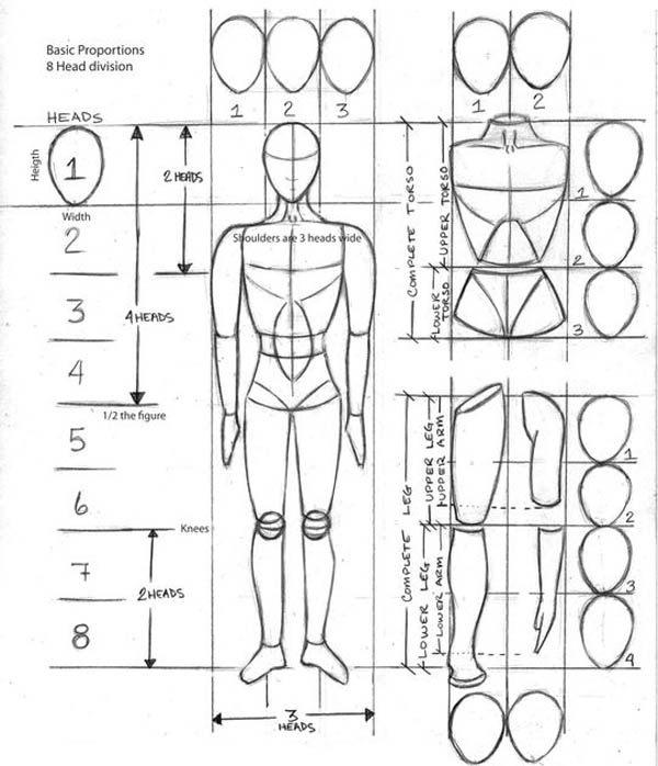 corpo2