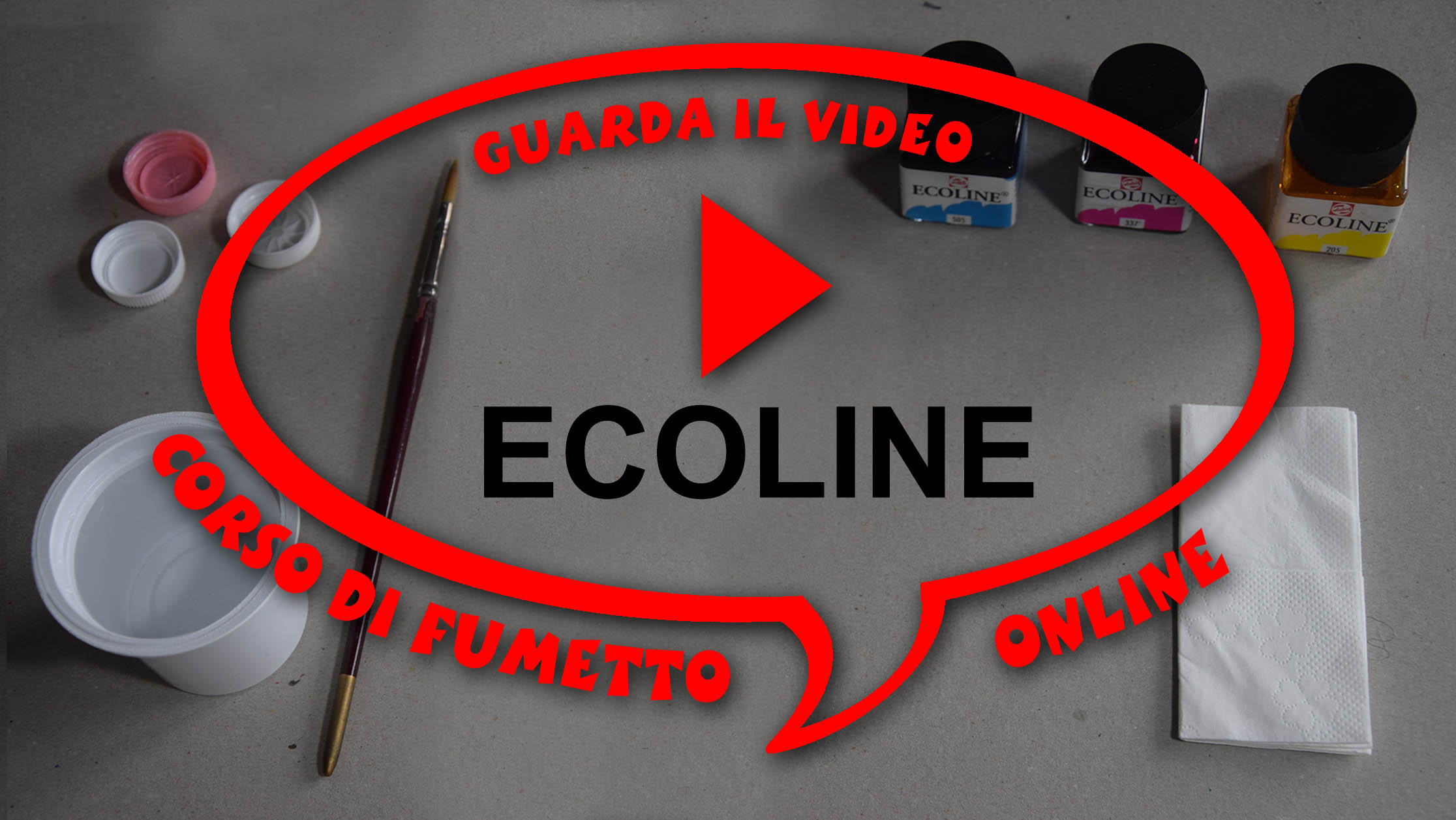 interfaccia video ecoline