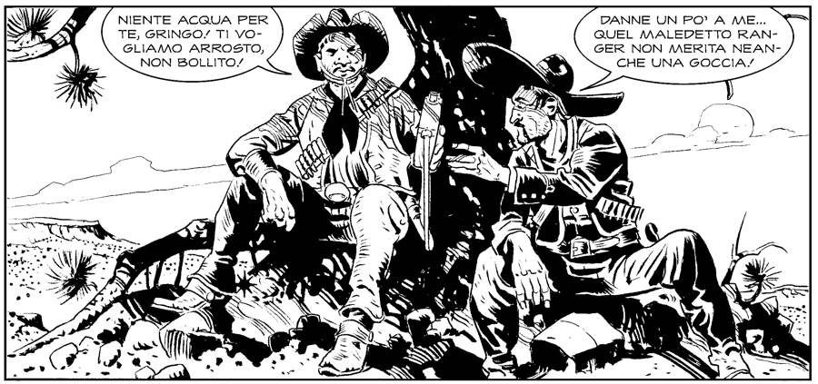 Texone 41 2