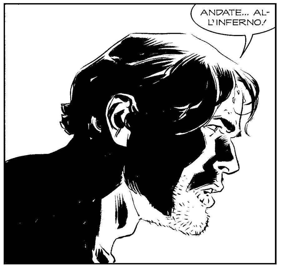 Texone 41 3