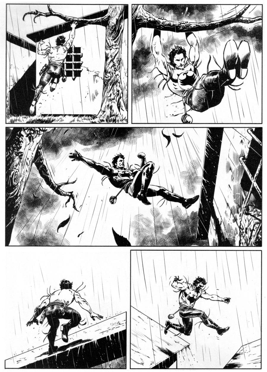 zagor will 001
