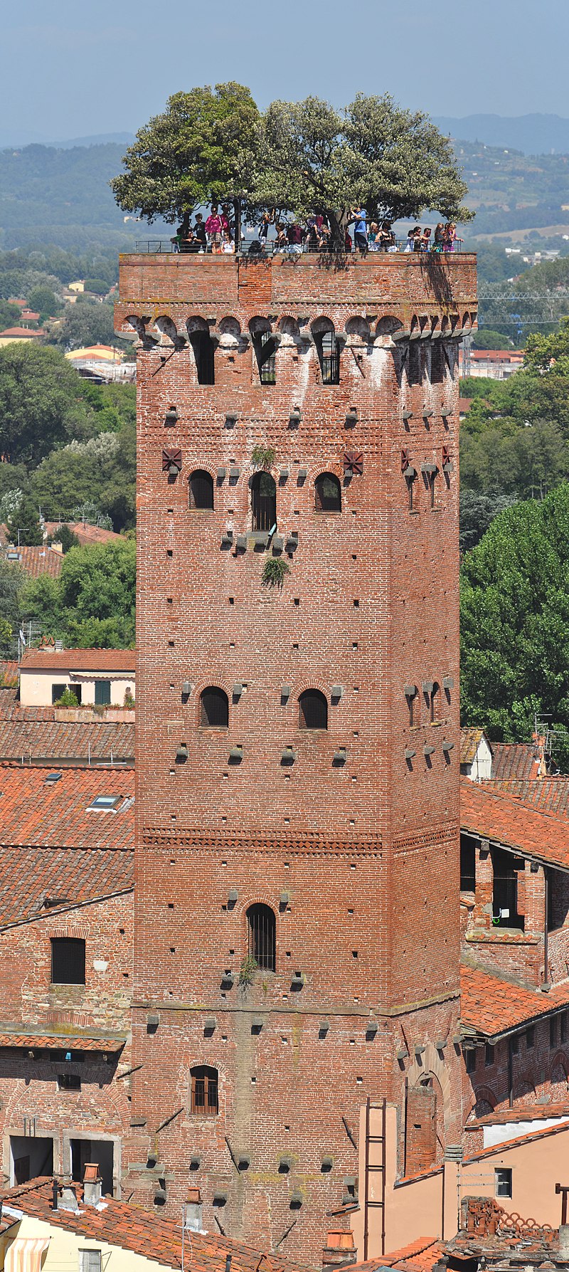 Lucca torre guinigi