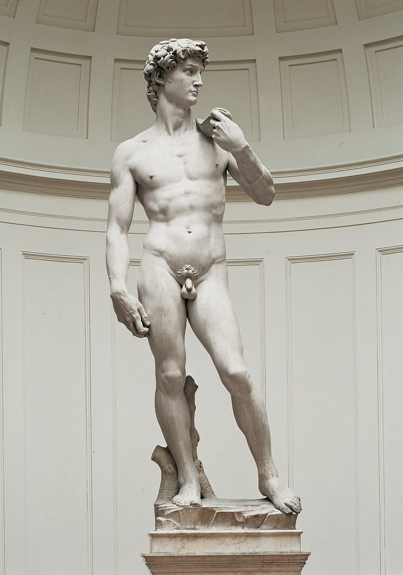 david michelangelo